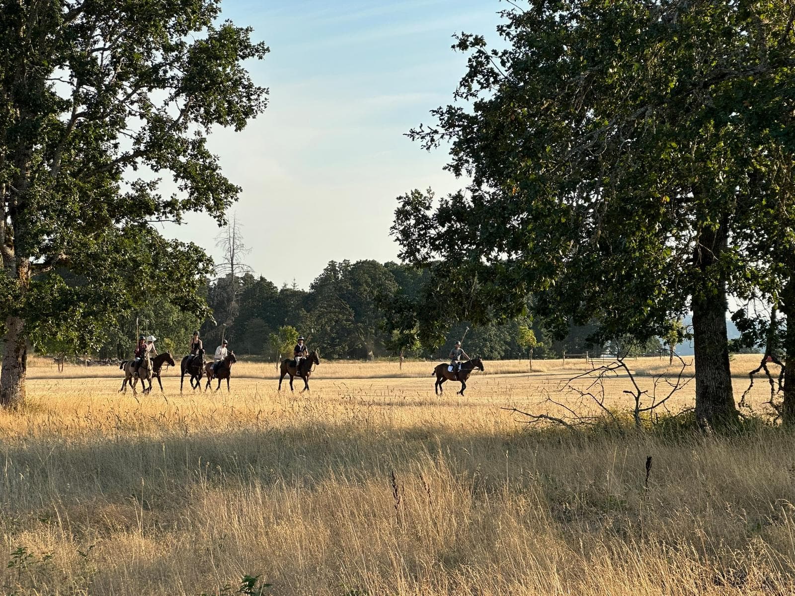 Rancho Dagno background